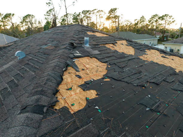 Best Roof Waterproofing  in USA